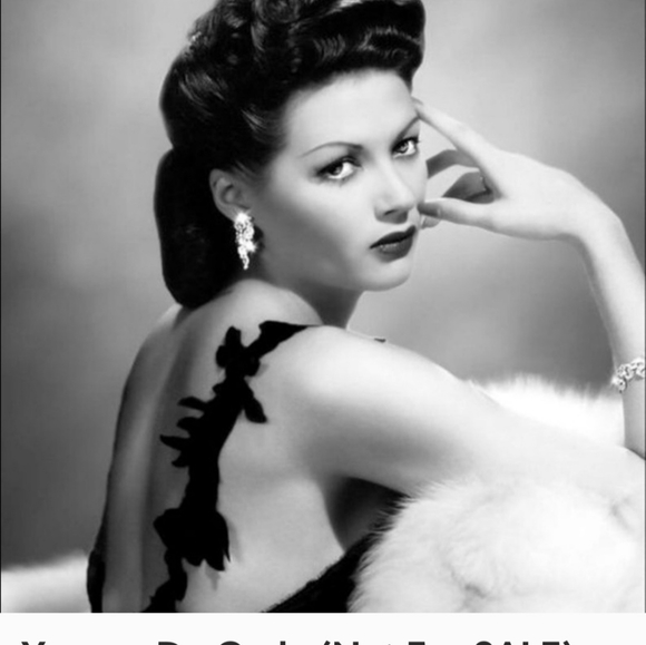 Meet your Posher, Mary - Picture 10 of 12